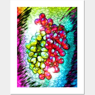 Grapes in Colors Posters and Art